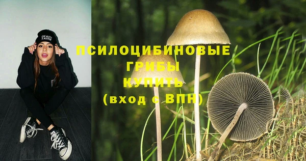 дживик Вяземский