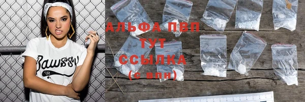 дживик Вяземский