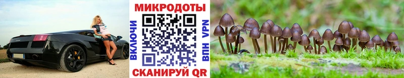 гидра ТОР  Пласт  Галлюциногенные грибы прущие грибы 